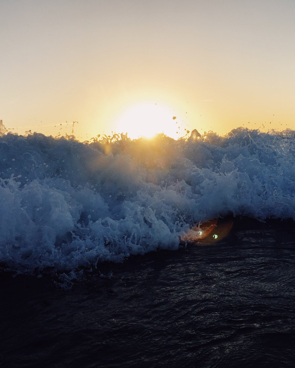 RyanPernofski's tweet image. this morning 😍😍