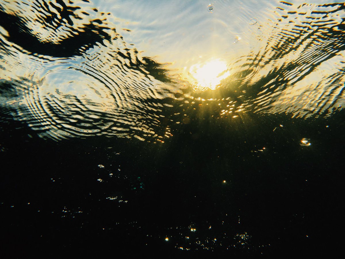 RyanPernofski's tweet image. this morning 😍😍