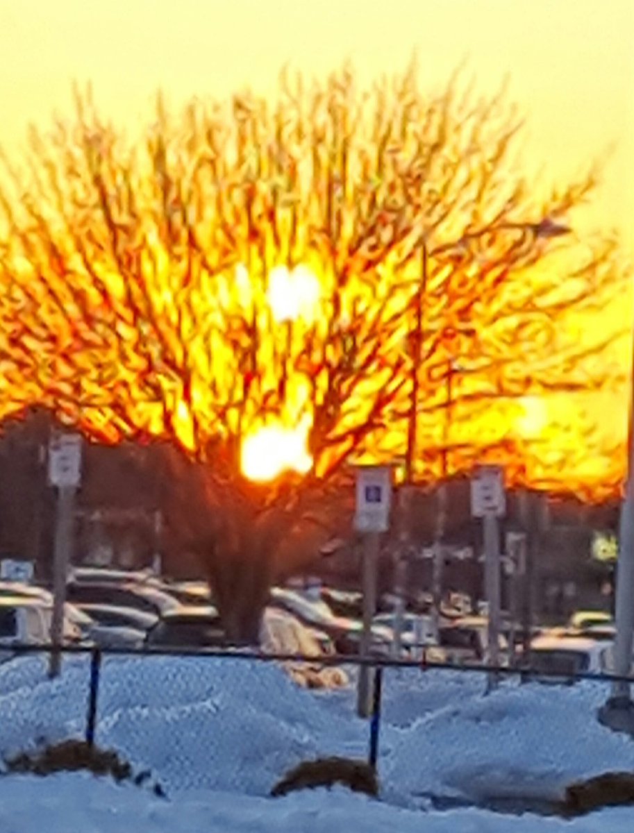 krstnbass's tweet photo. Winter sunsets are the best! #TreeOnFire @BobVanDillen @JimCantore @metro_weather @hoffmanrich https://t.co/CHQVvtfGN6