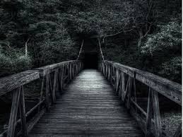★ Dorset Ghost ★ tweet media
