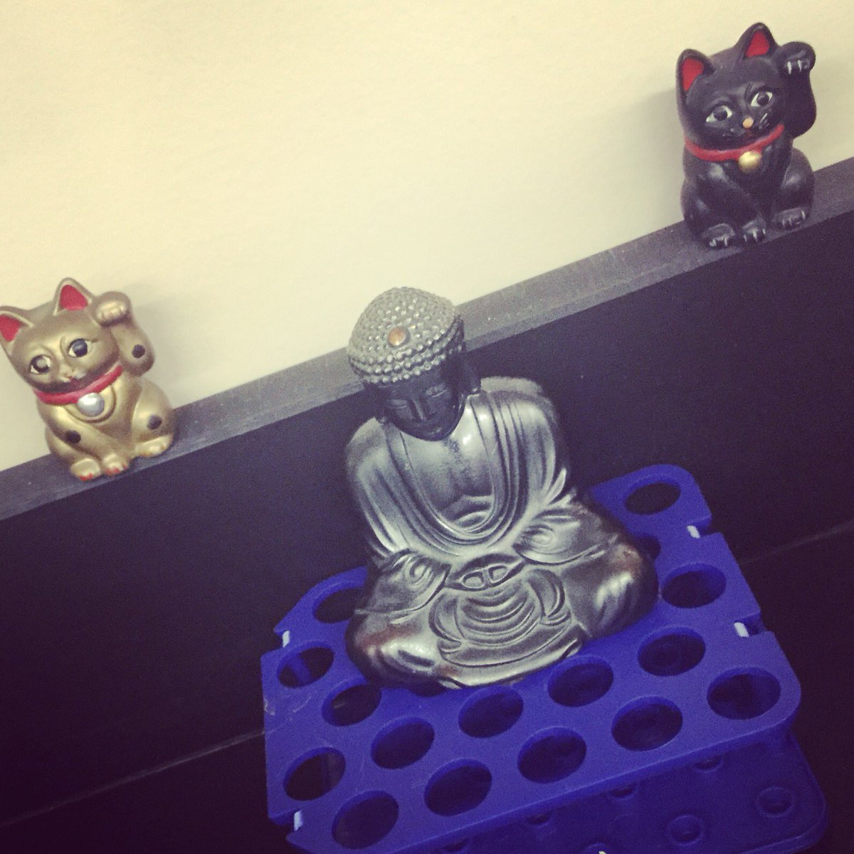 smalinich's tweet photo. Lucky lab charms for Chavez lab thermocyclers #labcharms https://t.co/aDtTvdHji6