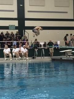 GJSDAquatics's tweet photo. Mike and Charlie Brown at the Section 2 Division 2 Diving Championships going on now at Shen! https://t.co/6SlfBpBKHN