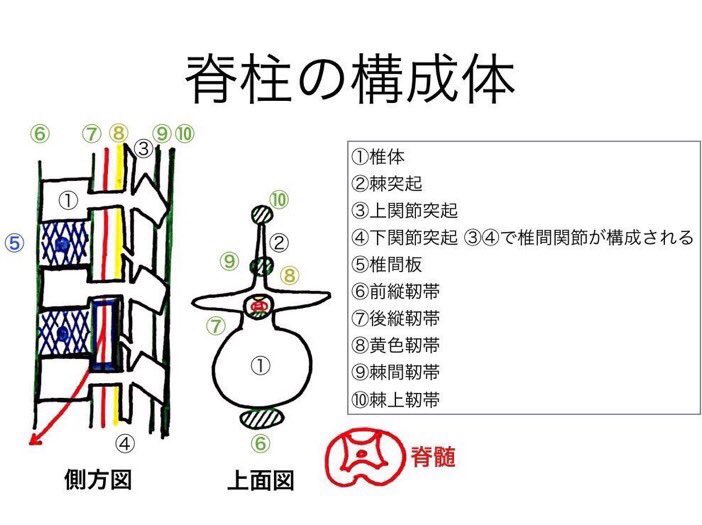 上位 運動 ニューロン 障害