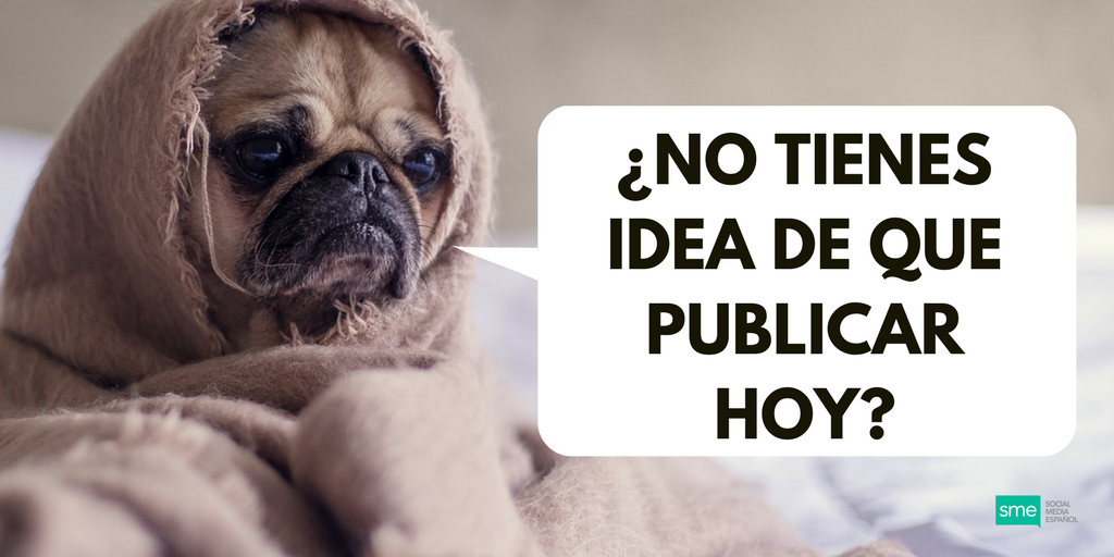 sme_hola's tweet photo. ¿Necesitas ideas? ¡Síguenos! #socialmedia #socialmediamarketing #socialmediatips #marketingtips #RT #redessociales #entrepreneur #v7ad #hoy https://t.co/k70G5kKcK4
