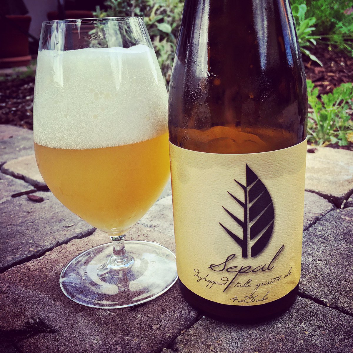 @kenweaver on Thread 🩵 tweet media