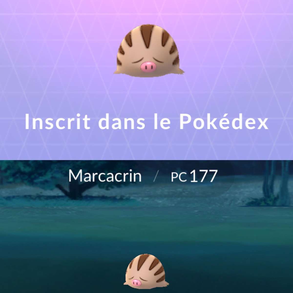 2mcrew1's tweet photo. Un petit nouveau qui complète la collection. #PokémonGo #Marcacrin https://t.co/jkQ2AbQlsk