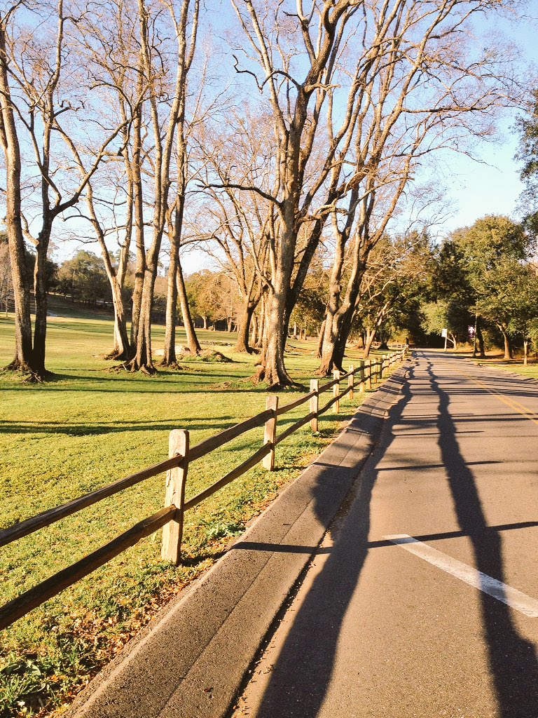 Springhillfit's tweet image. A mile at a time is all you need. Walk the hill with a pace to warm up.