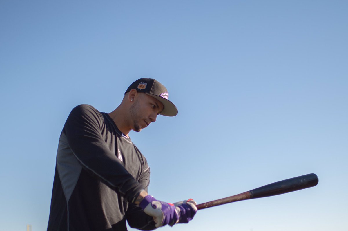 CarGo tweet media