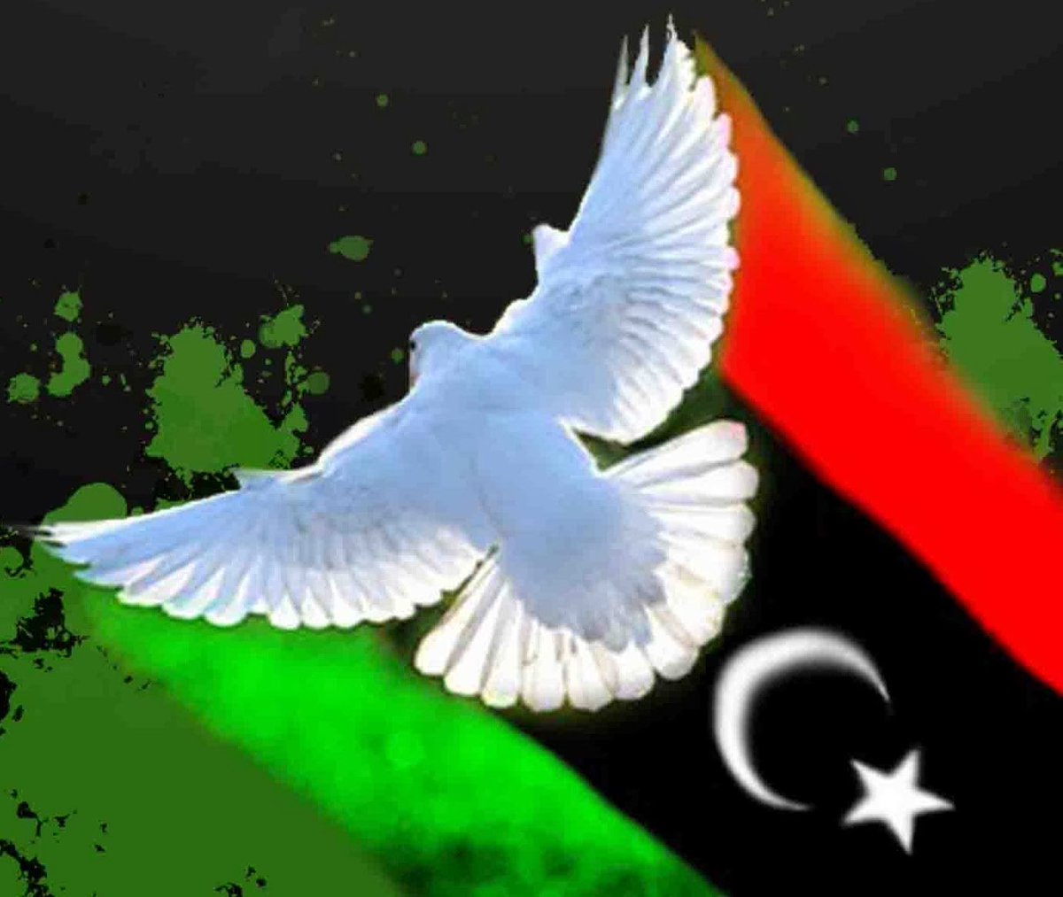 LO2BSH's tweet photo. #لذة_فبراير #هلا_فبراير #نكهة_فبراير #فبراير_هى_ثورتنا #مرحبا_فبراير 
#17feb #feb17 #feb_17 #17_feb #libya  #فبراير_17 #فبراير #17_فبراير https://t.co/Dsc2ayKCJ6