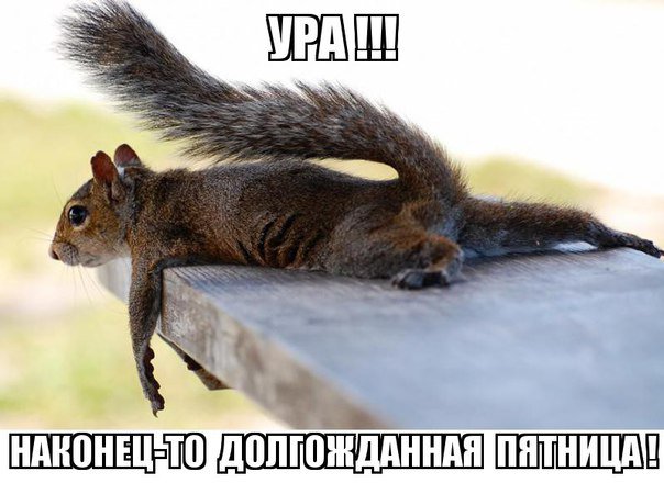 Милашка Фея (@nice_fairy_) on Twitter photo 