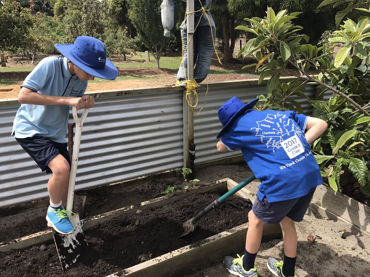 WPS34_2018's tweet photo. This weeks Kitchen Garden Session was a hit. Challenging and building on our skills &amp; tastebuds #pestopasta #fetacornburgers #homemadebread😋 https://t.co/bvS8fwW3ci