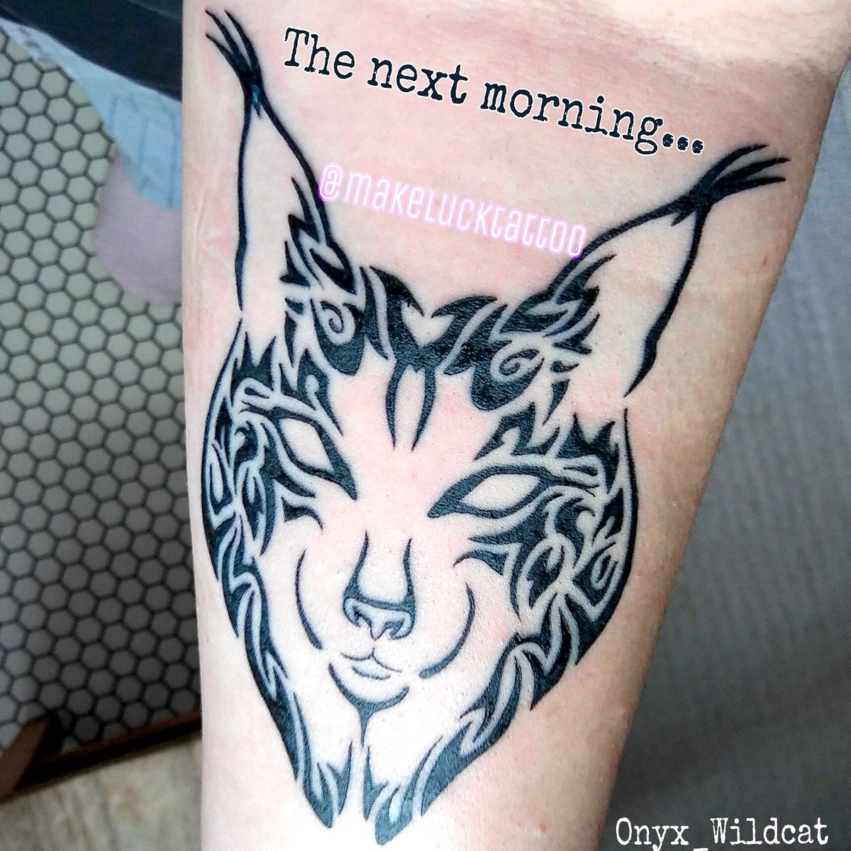 Onyx_Wildcat's tweet photo. My new #tattoo is already starting to itch 😂 but you know what? Totally worth it😉 #inked #tribal #lynx #Tottem #HappyNormalHumanWormbaby https://t.co/XkNx5ghPwR
