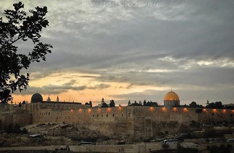 Al_mays_2hmed's tweet photo. #اعترف_للكراش

لكِ في القلوب منازل ورحاب
يا قدس أنتِ الحبُّ والأحباب

#هكمل_حياتي_علشان 
#غني_عالتايم 
#تيم_المباحث https://t.co/Fib5CmMnlf