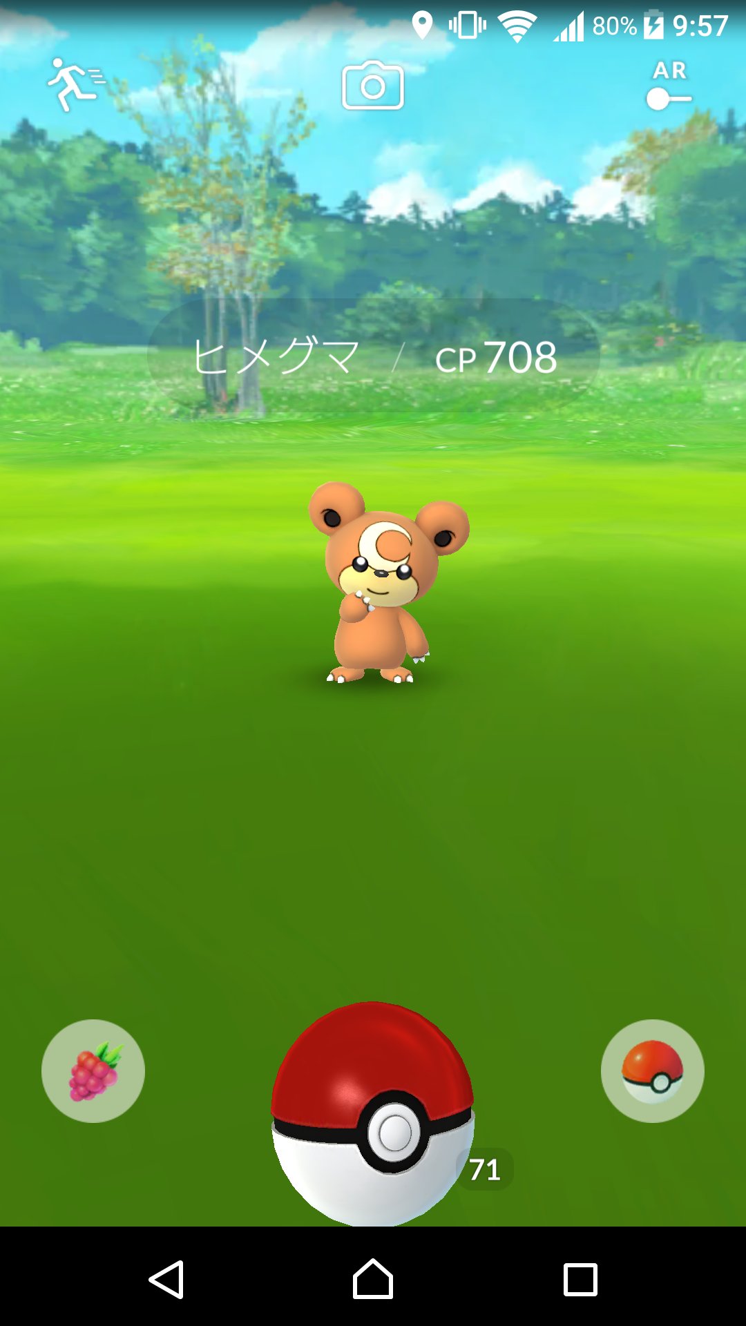 Beowulf パキ ポケモンgo ポケgo ヒメグマ来たよ可愛いよ 進化させたくない だってリングマごついもん ノ T Co Nzdwsft0ue Twitter