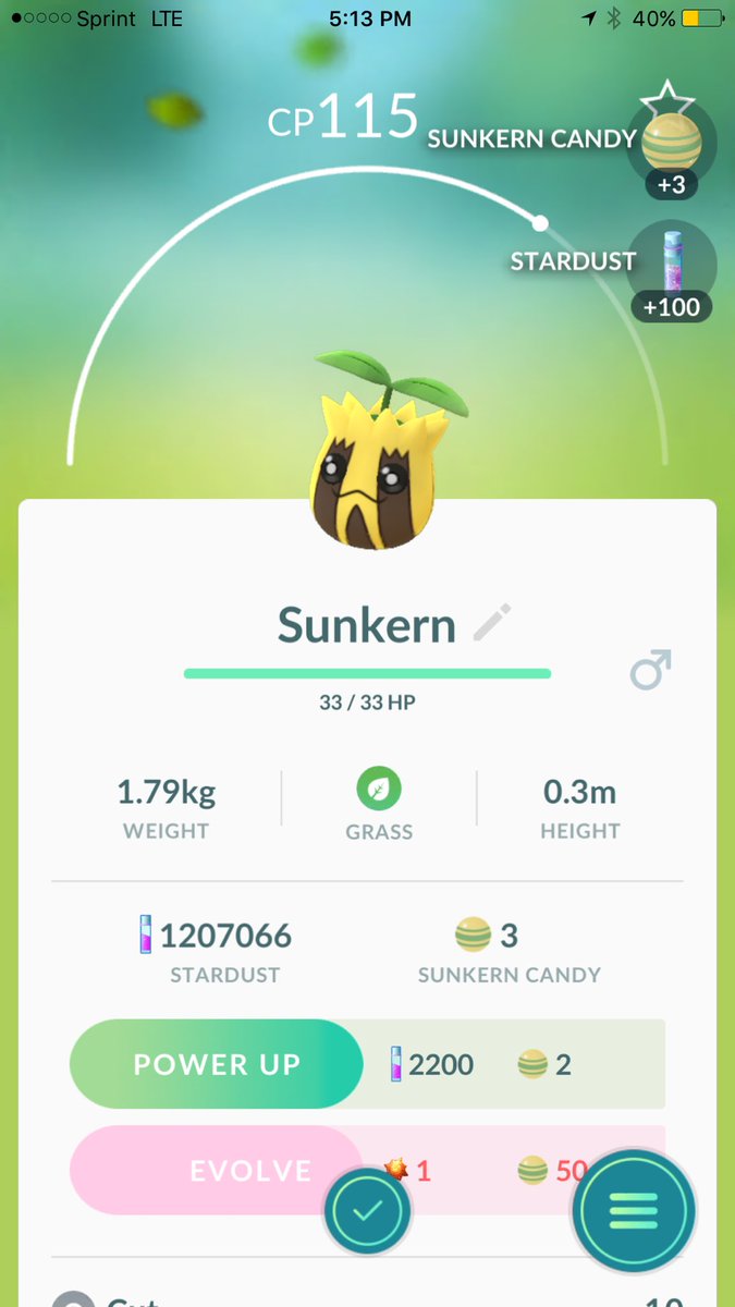 First Spinarak &amp; Sunkern  😁😁 <a href="/mellokittv/">mellokittv</a> <a href="/pokemon_brux/">Gary Bxl (Wartagnac) TL40</a> <a href="/Zenaido/">Zenaido</a> <a href="/fliippo/">fliippo</a> @pokemondeadguy #Pokemongogen2
