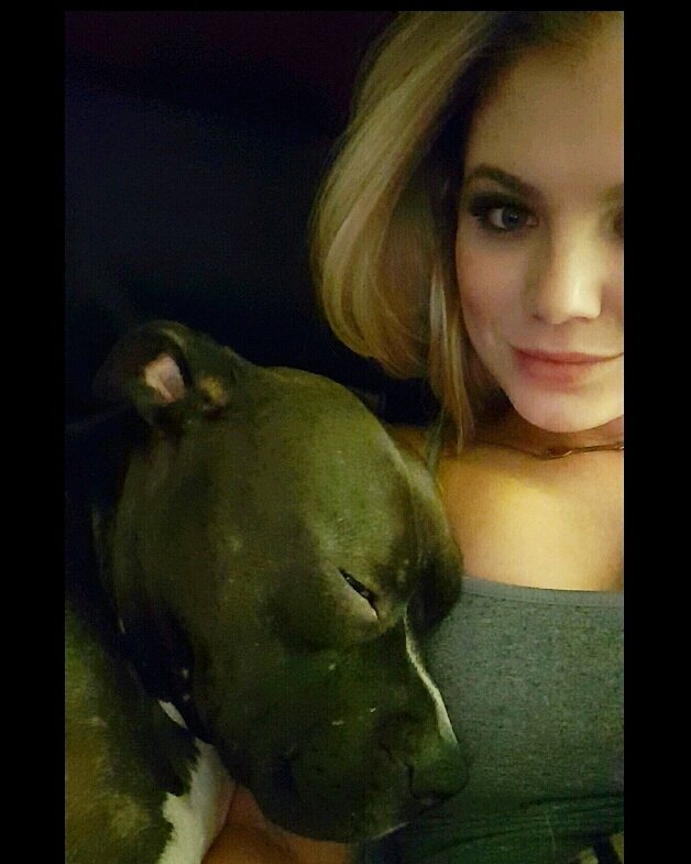 keylachilds's tweet photo. Best Valentine's date is my sweet boy Bruin. #pitbull #pitbullmom https://t.co/a2ZdoCIgyK