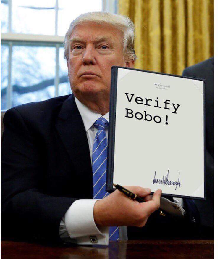 B080697's tweet photo. Come on @twitta #Verify me already. Trump says so.da stress of this is making me send my #hairsystem in for fa mo grey #bobonation #boboout https://t.co/I1GmkHZ083