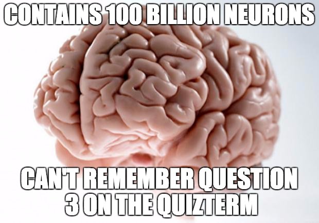 Psych_Memes's tweet photo. #macintropsych #Memes2Review https://t.co/A3wAfV5Z14