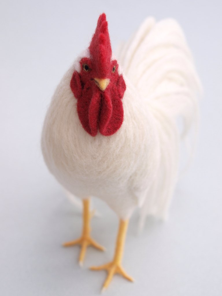 みき 羊毛フェルト 酉年用に作っていた 小国鶏 しょうこく をブログとサイトにアップしました 伊勢神宮の御神鶏 にもなっている日本鶏です とんでもない遅刻ですが見てやってくださいませ T Co Mnjbdc8rew