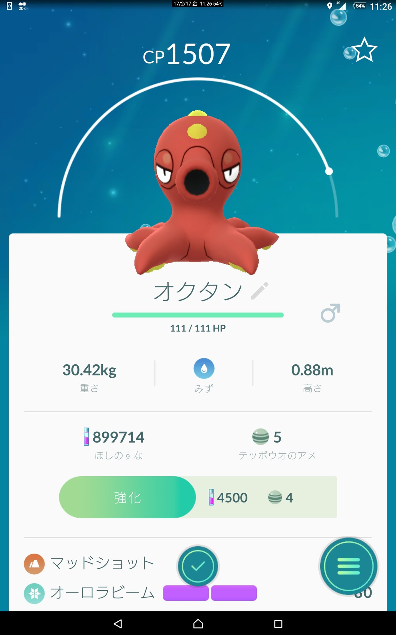 さとっぴお 永遠のsns疲れ ポケgo垢 オクタンかわいいよ オクタン ポケモンgo T Co Qgaqprassk Twitter