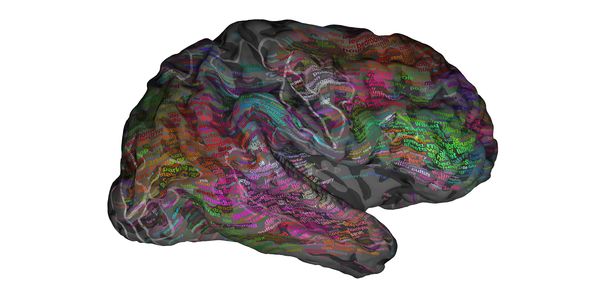 PopSci's tweet photo. A 3D map of the brain shows how we understand language: https://t.co/pDhcIrm9CR https://t.co/wfLvx1V31r