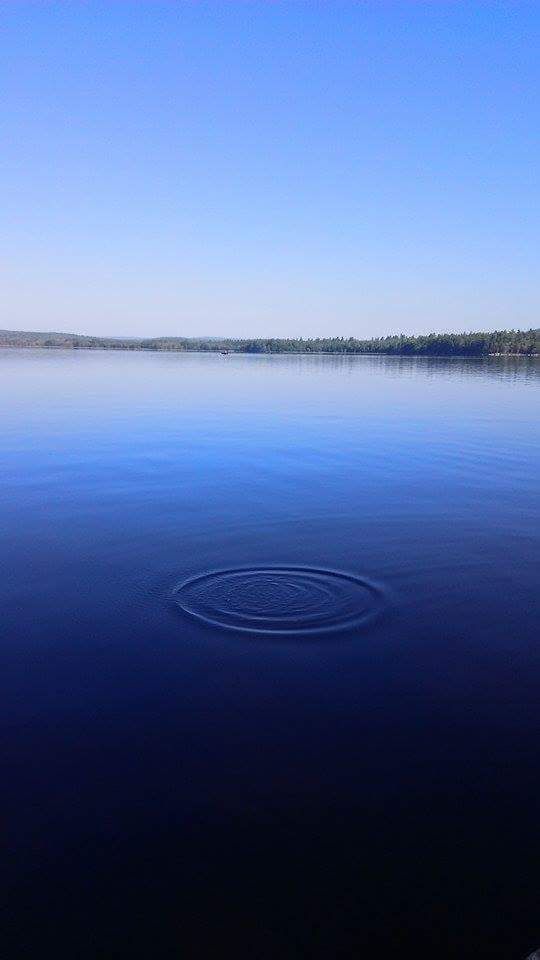 NBLMaine's tweet photo. @BioSpawnLures Just signed up on your website! Look forward to trying your baits on these waters here in Maine and promoting you! https://t.co/Gxv34k6VTU