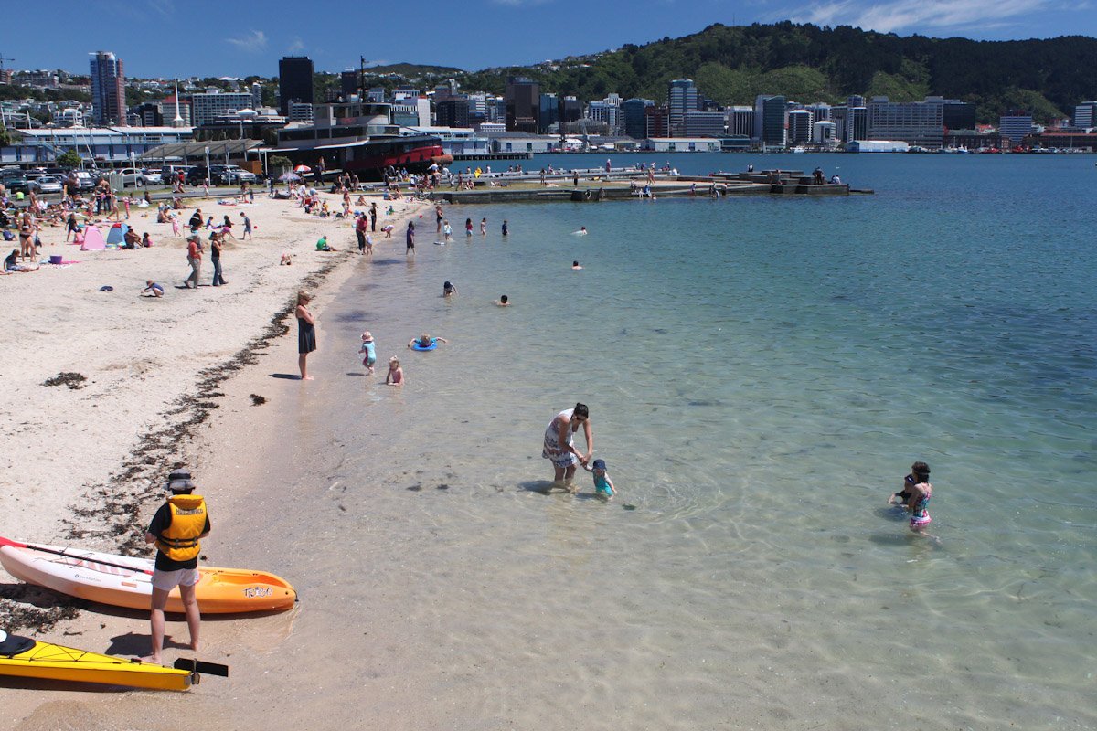 matthew_hodgman's tweet photo. @RIPmyDemocracy You can't beat Wellington on a good day. #Paradise #EscapeTrump https://t.co/EJYZRj1Xmj