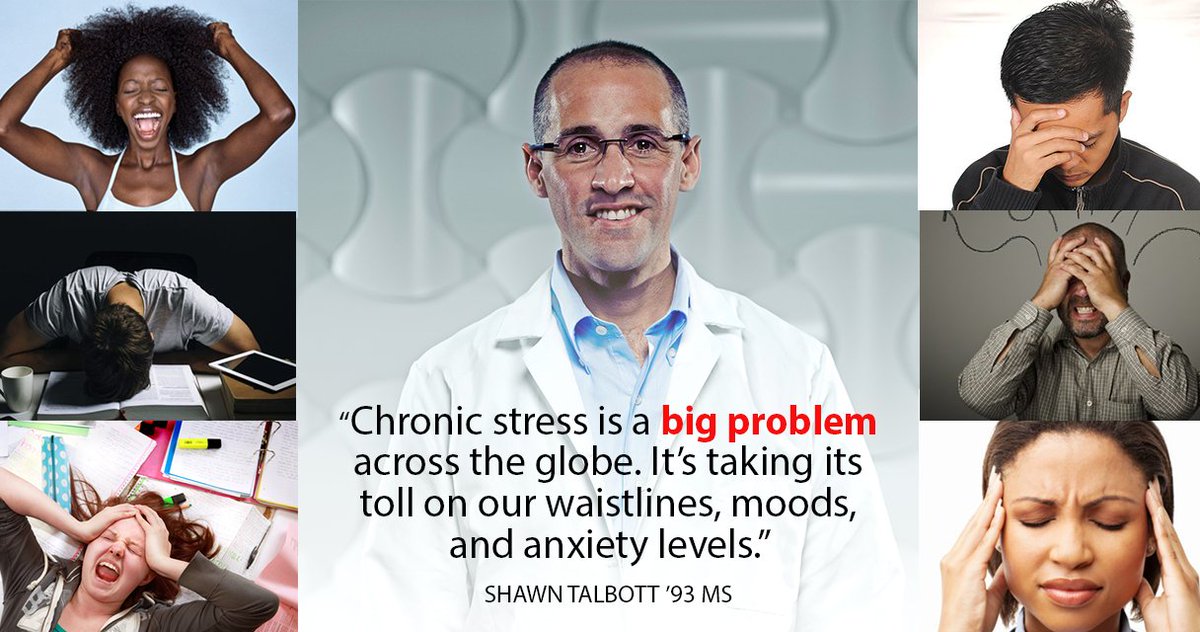 Lynsij's tweet photo. Shawn Talbott ’93 MS says chronic stress is taking its toll on our waistlines, moods, and anxiety levels. - https://t.co/DP0iE8bCS3 https://t.co/Gms5RYaEGb
