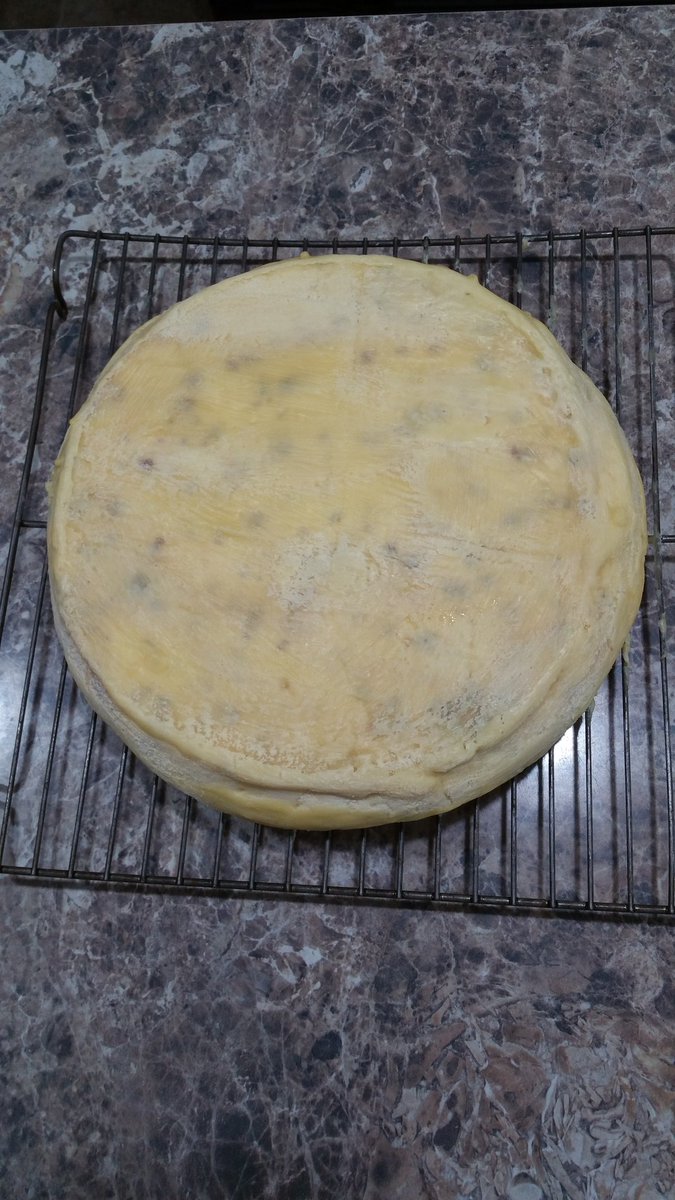 GrumpyOwlBrew's tweet photo. Pepper cheese waxed. Try in 2-3 months... https://t.co/JhIoS7PX1x