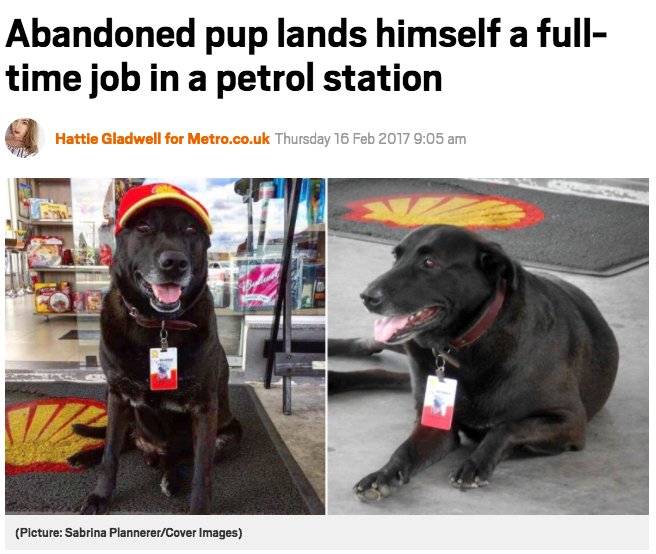 WholesomeMeme's tweet photo. https://t.co/5lFW7irbBF