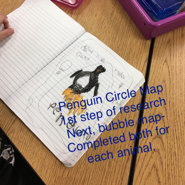 amanda_dierking's tweet photo. Huge thematic unit on #polarbears & #penguins. #circlemaps #treemaps #bubblemaps #doublebubblemaps We painted, crafted & wrote a lot! https://t.co/wtOXxwYJPX