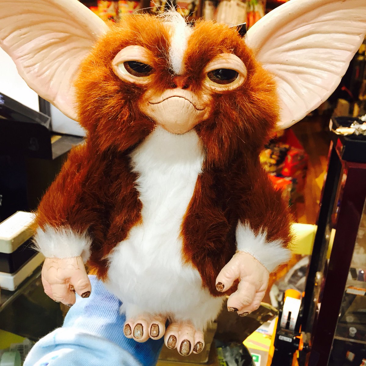 ｳﾞｨﾚｯｼﾞｳﾞｧﾝｶﾞｰﾄﾞ 三宮店 Twitter પર Gremlins 海外輸入オフィシャルグッズが入荷致しました 映画 で使われたギズモの本物そっくりレプリカです 次回入荷なし お見逃しなく グレムリン ギズモ