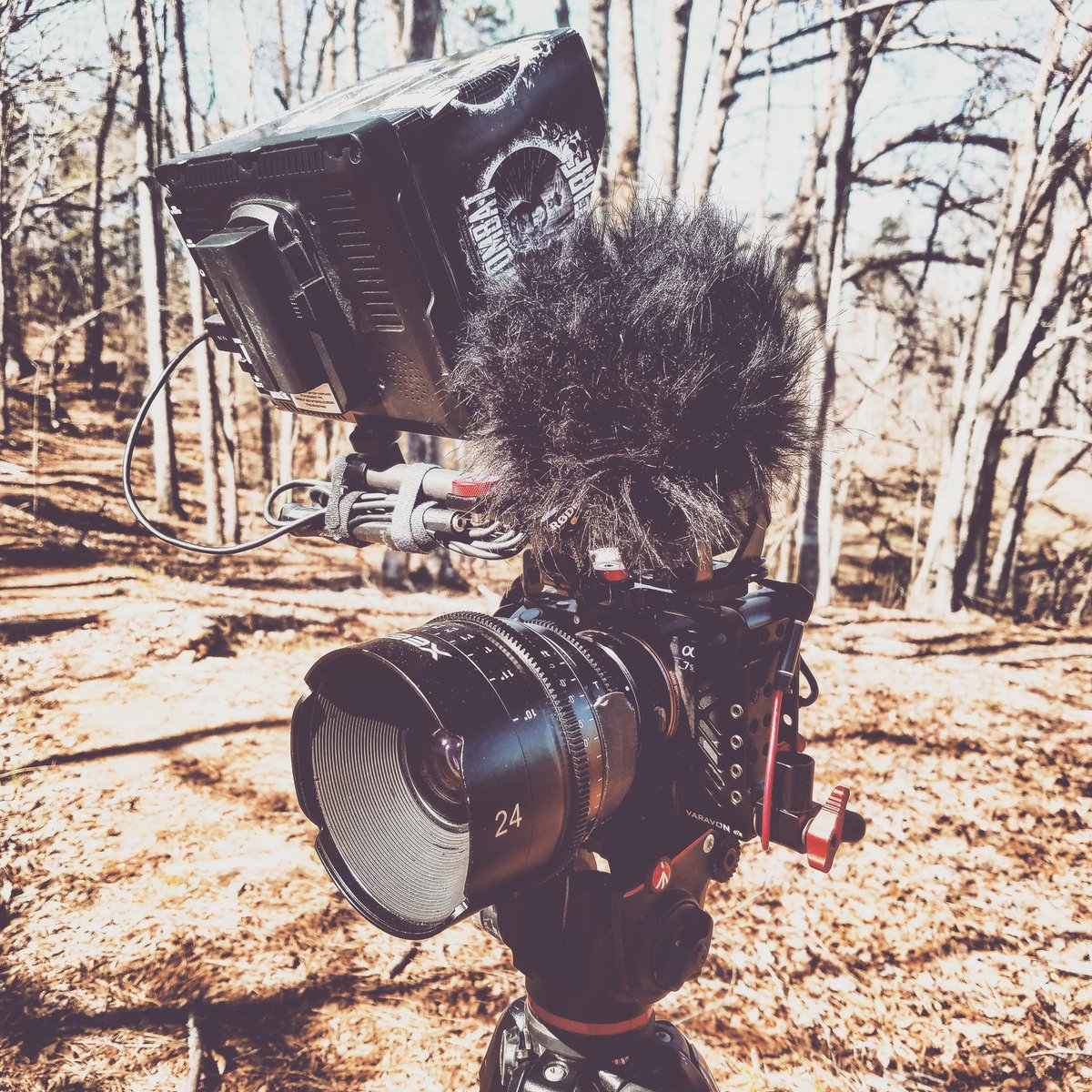 Wombat_Fire's tweet photo. Fully kitted!
#sonya7sii @RokinonLenses #xeen24mm #cinelens @rodemics #stereomic @Varavon  cage @manfrotto_tweet legs @feelworldhd eyes https://t.co/6gzmeVCPg7