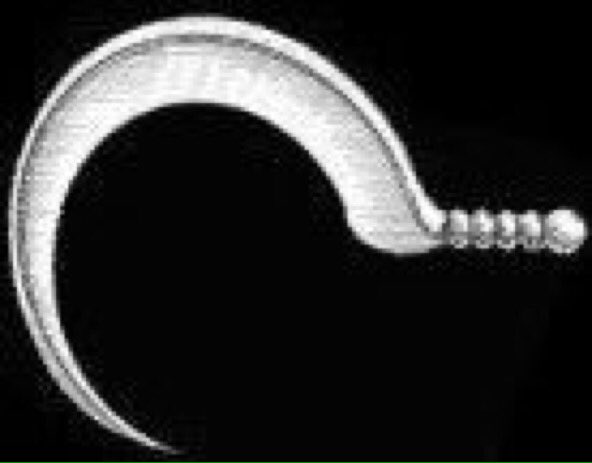 世界の武器防具百科 さん のツイート ギリシャ の検索結果 1 Whotwi グラフィカルtwitter分析 世界の武器防具百科 さん のツイート ギリシャ の検索結果 1 Whotwi グラフィカルtwitter分析