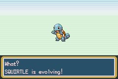 kylecbetts's tweet photo. @carterturnbull congrats big guy #squirtle https://t.co/zieA31nGr3