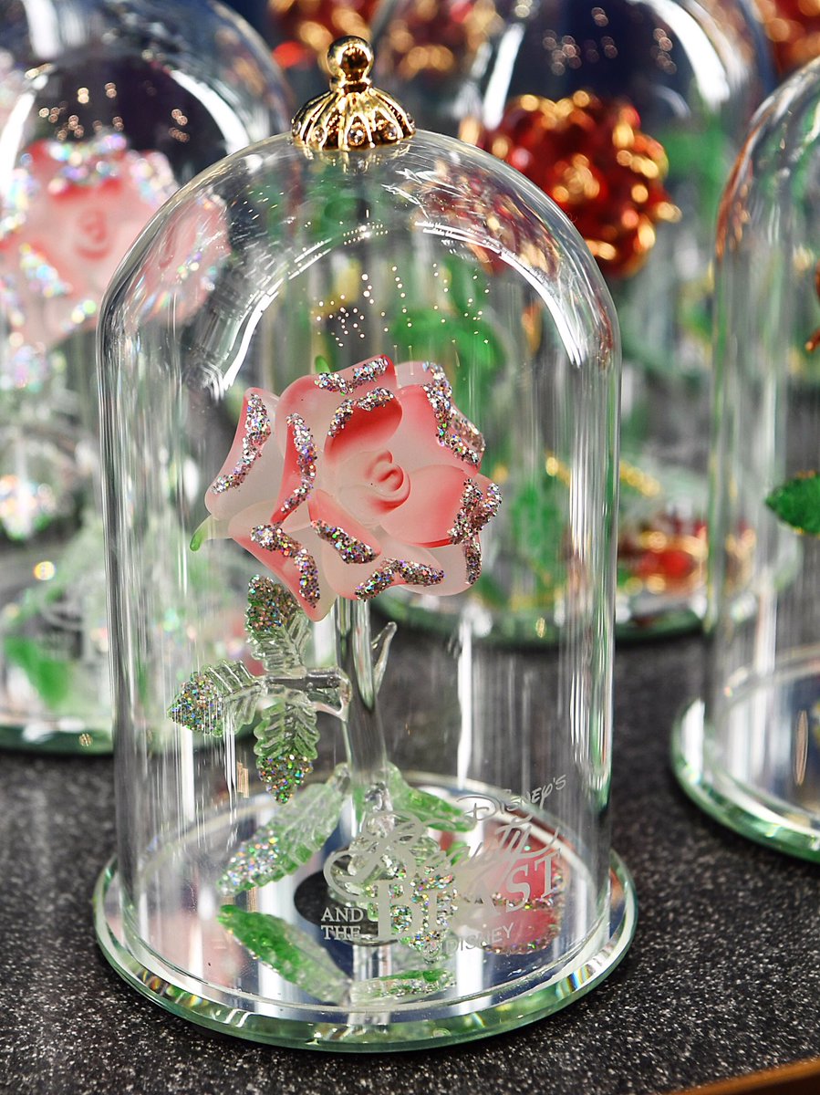 まるで芸術品のようなローズドームも！東京ディズニーランド『美女と