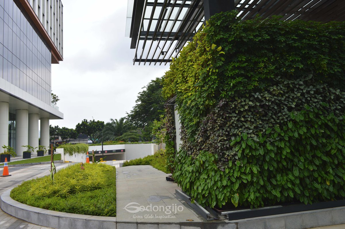 verticalgreenid's tweet photo. #cibis #grenfacades #verticalgardenindonesia #tamanvertikalindonesia #godongijo #greenwall #TropicalGarden #tamantegak #tamandinding https://t.co/IOBmyUDOhF