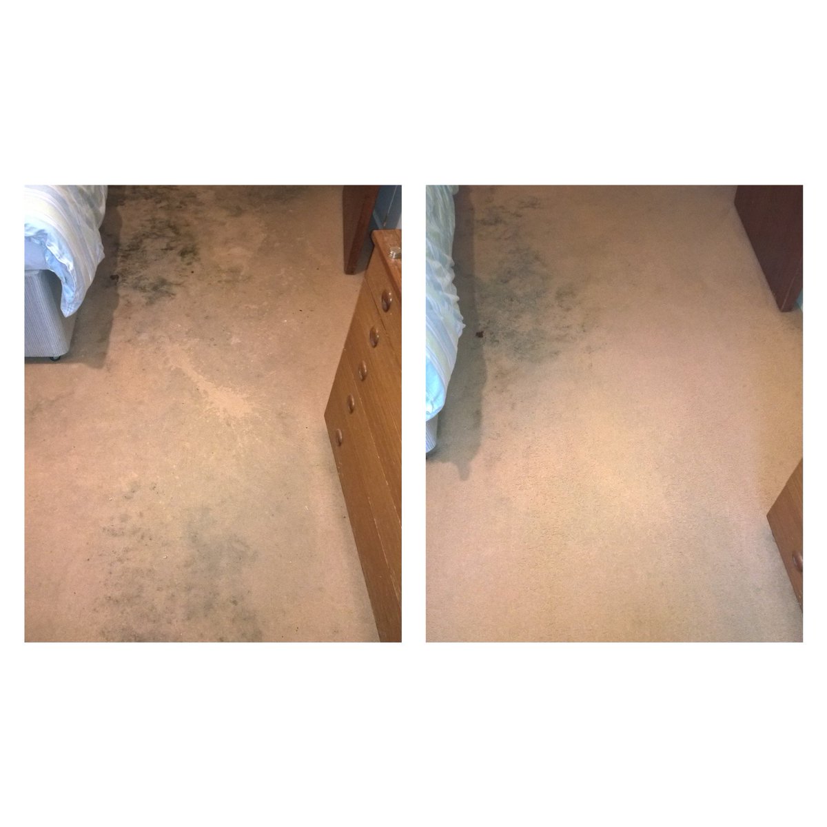 Captain Rug Wash Carpet & Upholstery Cleaning tweet media