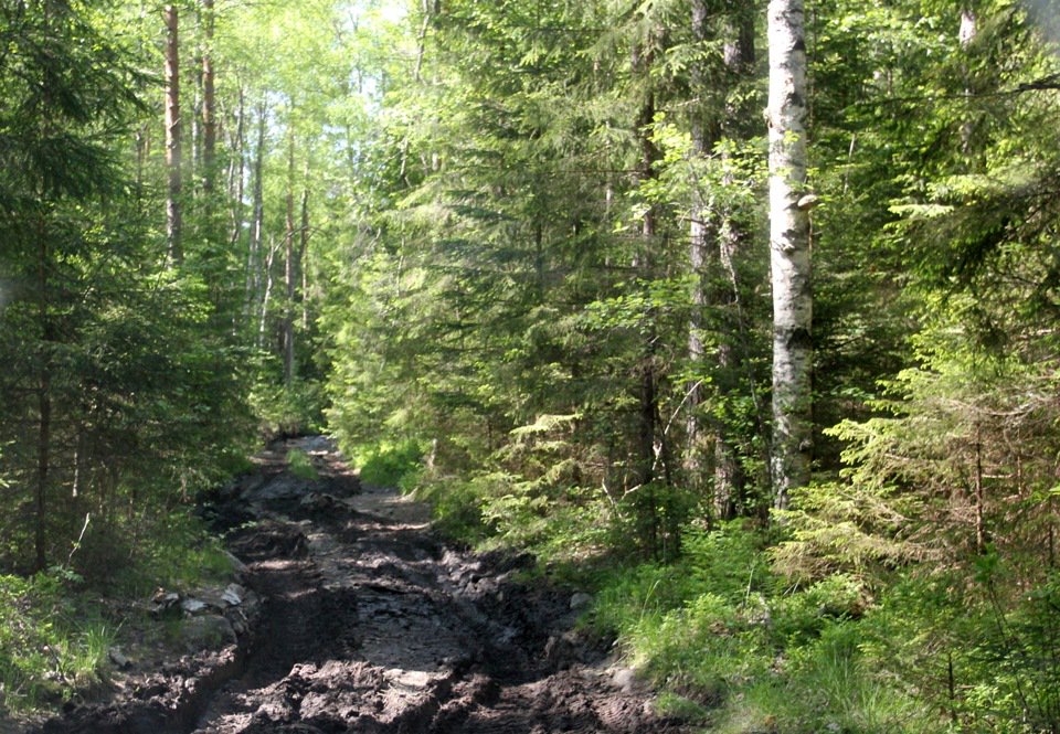 mudroads's tweet photo. Возбуждает, не правда ли?❤️😃
#mudroads #4x4 #offroad #бездорожье #путешесвтие https://t.co/MaaiM1IDvr