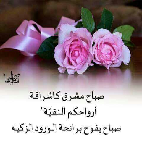 halaelalfy5's tweet photo. @AzezaJad جمعة طيبة ومباركة عليكى ياحبيبتى https://t.co/zqMofu1yYq
