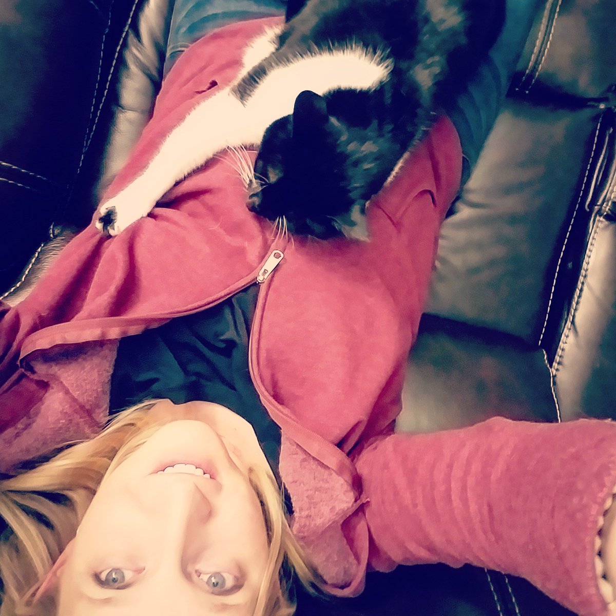 WeJustFoundOut's tweet photo. I wonder if TT can hear the little man's heartbeat...
#36Weeks #TwoToes #SleepyKitty #KickingKid #CatDoesntCare https://t.co/bGQfL4FrT6