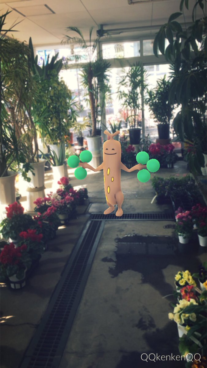 Kenken 花屋で働く優しいウソッキー ウソッキー Sudowoodo ポケモンgo Pokemongogen2 Pokemongo