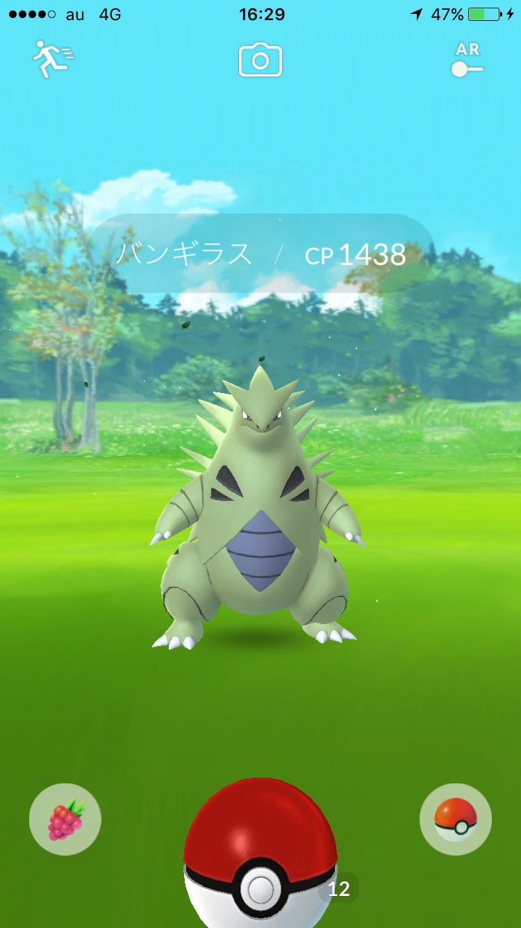 対策 バンギラス