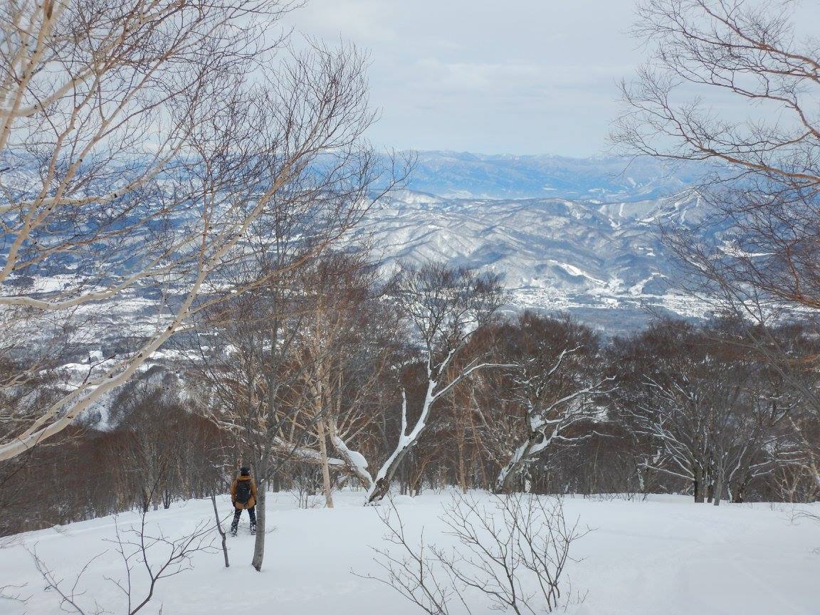Myoko backcountry looking pretty epic on a bluebird! Who's keen to try this? pic:<a href="/rensweezy/">Daniel Jacobs</a>