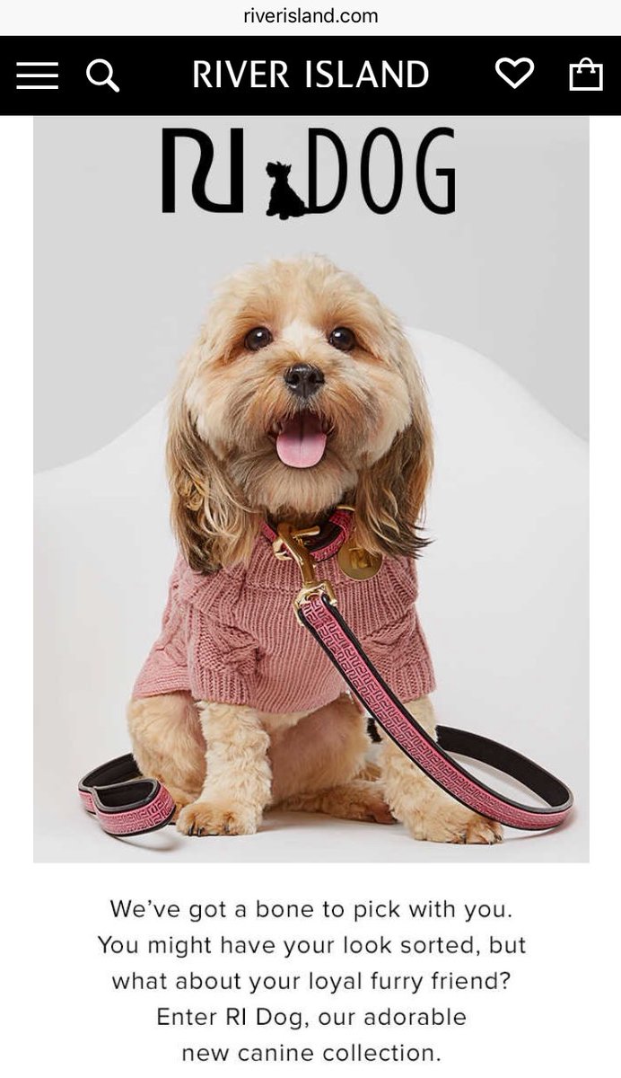 UrServiceSucks_'s tweet photo. @riverisland 
-WILL dress my dog 🐾
-WILL NOT dress my bump 🤰🏻
#BoneToPick #Respect #Values #Bitches #ChooseWisely #NoGo #MumToBe https://t.co/fsk5CDajEE