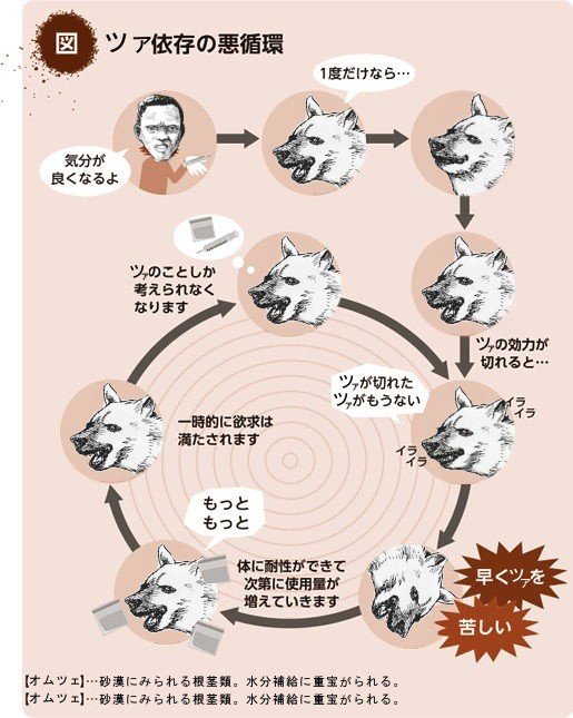 Ojsn Iamojsn 17年02月 Page 3 Twilog Ojsn Iamojsn 17年02月 Page 3 Twilog