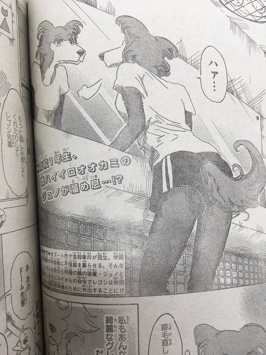 けいしゃんp Ixion Pa Twitter あああジュノchan可愛いな ビースターズ けいしゃんp Ixion Pa Twitter あああジュノchan可愛いな ビースターズ