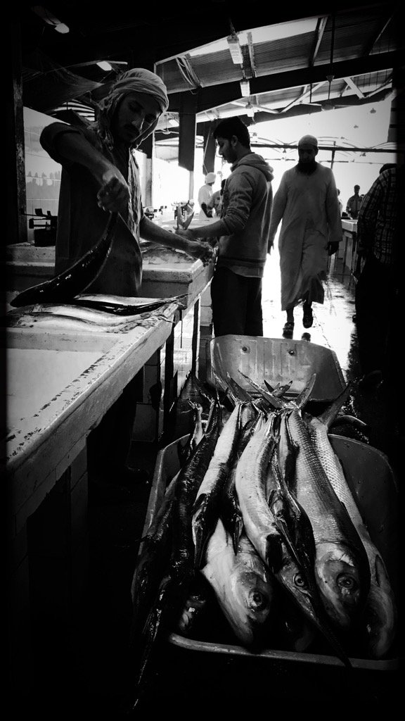 nikosaliagas tweet picture