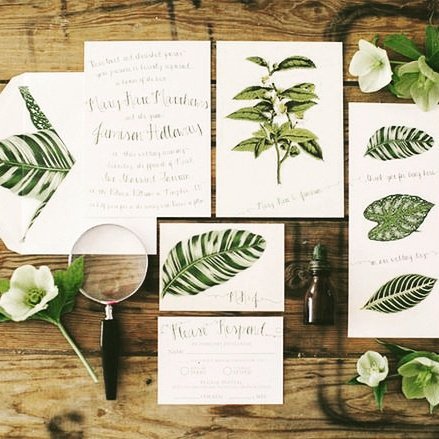 Pásate por el blog!!!!losclaustros.blogspot.com.es/2017/02/botani…