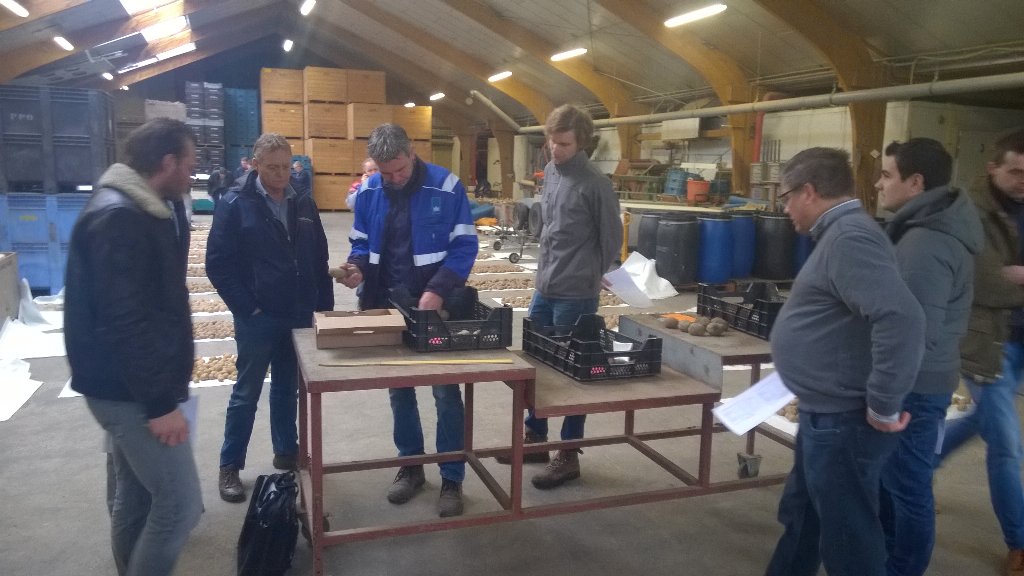 AdFioole's tweet photo. Vandaag aan de slag met partijbeoordeling pootgoed door ontvangende handel in Westmaas. Goed bezig.@nakemmeloord https://t.co/wu30jQKoKw